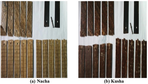 Figure 20. Shear strength test specimens of Kusha and Nacha after testing.