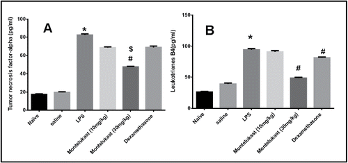 Figure 4. Effect of oral treatment with Montelukast (Mont) (10 and 30 mg/kg) and dexamethasone (Dex) on release of A: Tumor necrosis factor-α. B: Leukotriene B4 in BALF 48 hours after the 9th exposure to LPS in guinea pigs. Each column shows means ± S.E.M. (n = 6). Significance of differences from saline exposure (*, p < 0.05), significance of differences from LPS exposures (#, p < 0.05) and significance of differences from dexamethasone treatment ($, p < 0.05) were determined by analysis of variance (single factor), followed by Newman–Keuls Multiple Comparison Test.