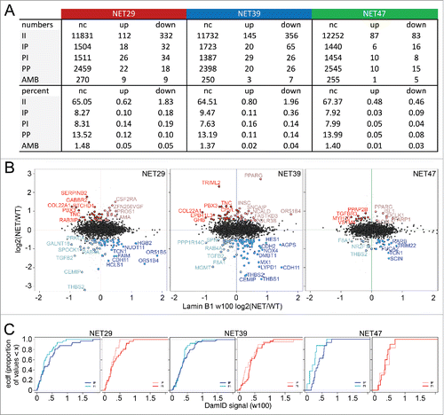 Figure 4. The relationship between NET-induced gene repositioning and expression. (A) Summary of intersect changes between DamID and microarray data. The DamID classes are described as II = stays internal, PP = stays peripheral, PI = shifts away from the periphery, IP = shifts toward the periphery, and AMB = ambiguous i.e., could not be determined. For gene expression data up and down designate upregulated and downregulated after overexpression of each NET, respectively, and ‘nc’ means ‘no change’. (B) Log2(Expression NET-HT1080/ expression control HT1080) gene expression changes are plotted against Log2(DamID NET-HT1080/ DamID control HT1080) of a 100 Kb window centered in each gene for the stable lines expressing each of the 3 NETs. For the colors, red is upregulation and blue is downregulation. The dark red spots correspond to upregulated PI genes and the pale red spots correspond to upregulated IP genes. Dark blue spots indicate downregulated IP genes while pale blue spots indicate downregulated PI genes. All gene expression values are mean average changes of triplicate microarray samples. Data available in Supplementary Table S2. (C) Empirical cumulative distribution frequency (ecdf) plots comparing IP and PI populations within the downregulated (left panel) and upregulated (right panel) genes for each NET. The colors are as in the previous panel: dark/pale blue lines represent downregulated IP/PI genes respectively, while dark/pale red lines represent upregulated PI/IP genes respectively. When a line rises earlier toward the plateau and stays to its left, it means that class of genes have overall a smaller laminB1-DamID signal change (in absolute value) between the control HT1080 cells and cells transfected with a particular NET. For all 3 NETs, the largest changes involved genes that were both downregulated and moved toward the periphery.