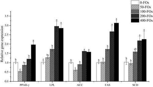 Figure 1. Effects of dietary feruloyl oligosaccharides derived from fermented wheat bran (FOs-FWB) supplementation on the mRNA expression of lipid metabolism genes in Longissimus dorsi muscle of lambs. Lambs received a basal diet (control) or basal diet supplemented with 50, 100, 200 or 400 mg/kg FOs-FWB. Data are represented as mean ± SEM. Different letters above bars are significantly different (p < .05). Abbreviations: PPARγ, peroxisome proliferator-activated receptor γ; LPL, lipoprotein lipase; ACC: acetyl-coenzyme A carboxylase; FAS: fatty acid synthase; SCD: stearoyl-coenzyme A desaturase.