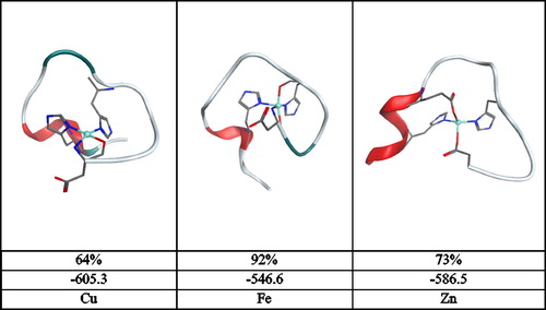 Figure 11. Summary of clustering analysis: minimised geometry, percentage occupancy and molecular mechanics energy (kcal/mol) after minimisation.
