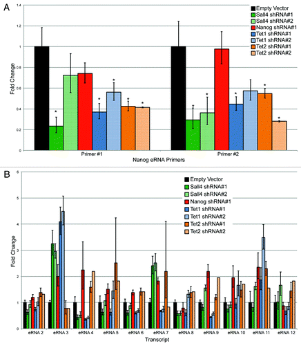 Figure 10. (A) Assessing eRNA production using two independent primer sets after shRNA mediated depletion by various factors. An asterisk indicates P < 0.05 difference from the empty vector control using a Student’s T test. (B) Assessment of eRNA levels after shRNA mediated depletion of Sall4, Nanog, Tet1, or Tet2 from an additional 11 (12-total) enhancers.