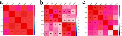 Figure 5. Matrix graphs for Pearson’s correlation analysis. a, b, and c are CCR gene, CXCL gene, and CCL gene, respectively. The correlations coefficients between the genes are shown in grid