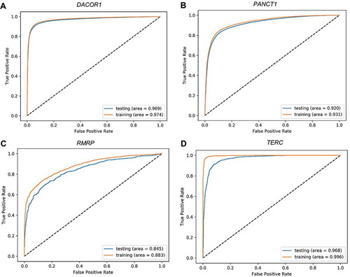 Figure 4. Receiver Operating Characteristic (ROC) plots for training and testing sets. Four representative ROC plots for the best deep learning model representing four lncRNAs: TUG1 (A), HOTAIR (B), HOTCHON (C), and DACOR1 (D). Area under the curve for testing and training sets are shown for each plot.