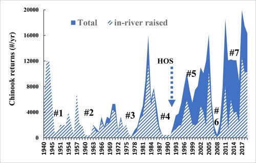 Figure 4. Long-term (1940–2019) returns of adult Chinook salmon. Total fish returns (solid) and hatchery spawned fish (hatched area). Arrow shows HOS start in 1993. Low returns occurred in droughts (1–4) prior to HOS but were higher in droughts after HOS. Best return was drought 7, where HOS was supplemented with upstream reservoir releases. Low drought returns for drought 6 (2007–2009) were due to “poor ocean conditions,” but 3–4 yr after, in 2012–2015, returns were high.