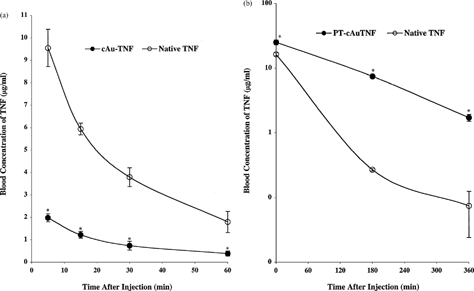 4 (a) The pharmacokinetic profiles of native TNF and the cAu-TNF vector in MC-38 tumor-burdened C57/BL6 mice. MC-38 tumor-burdened mice (n = 3/group/time point) were intravenously injected with 10 μg of either native TNF or the cAu-TNF vector. At the indicated time points the mice were anesthetized and bled through the retro-orbital sinus, and the blood was diluted 1:1 with PBS containing 1 mg/ml heparin. TNF concentrations were determined using an EIA. Data are presented as the mean ± SEM blood concentration from three mice per time point.*ast; p < 0.05 cAu-TNF versus native. (b) The pharmacokinetic profiles of native TNF and the PT-cAu-TNF vector in MC-38 tumor-burdened C57/BL6 mice. Mice were bled through the retro-orbital sinus at 5, 180, and 360 min after the injection, and the blood samples were analyzed as described above. Data are presented as the mean ± SEM blood TNF concentration from 3 mice/time point. Δ p < 0.1 * p < 0.05 versus native group.