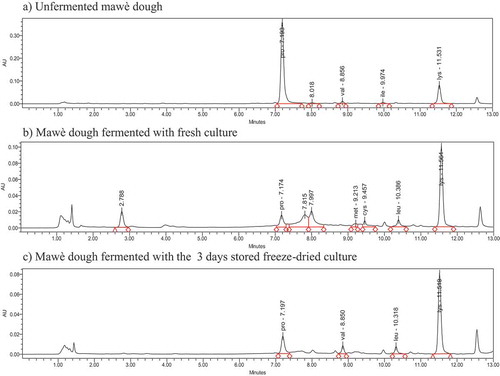 Figure 6. Free amino acid profile of mawè before and after fermentation with the fresh, and the freeze-dried cultures