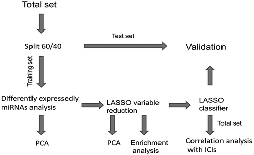 Figure 1. The workflow of the present study.