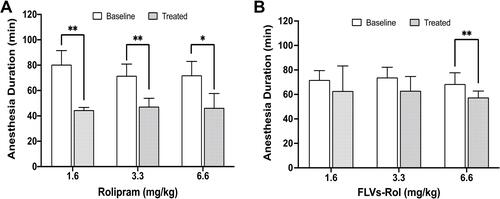 Figure 1 Effects of fusogenic lipid vesicles-rolipram (FLVs-Rol) and non-encapsulated rolipram on xylazine/ketamine anesthesia duration time. (A) Comparison of baseline vs anesthesia duration following administration of 1.6 (n=5), 3.3 (n=6) and 6.6 (n=6) mg/kg of i.v. rolipram. (B) Comparison of baseline vs anesthesia duration time following administration of i.v. FLVs-Rol (1.6 (n=6), 3.3 (n=6) and 6.6 mg/kg (n=6) of rolipram in 12.5 mg/mL of FLV lipid). Each mouse served as its own baseline control and anesthesia duration was measured by the return of the righting reflex. Values represent mean±SD; *P-value ≤ 0.05; **P-value ≤ 0.01.