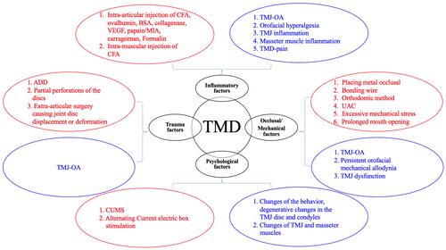 Figure 1 Schematic diagram of the establishment methods and symptoms for TMD animal models. The red circles represent the establishment methods for different causes of TMD, and the blue circles represent the signs and symptoms produced by TMD models.