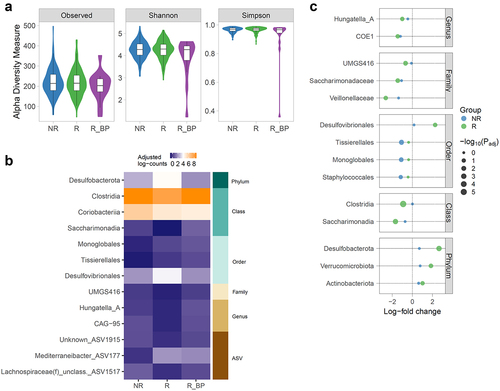 Figure 3. Bacterial differences in unmatched and matched groups. a) Alpha diversity measures in response groups. Richness was not significantly different, while Shannon and Simpson were significantly lower in R_BP. P-values were determined using a likelihood ratio test of nested mixed models as specified in Methods, and adjusted using Benjamini-Hochberg, with a 10% false discovery rate threshold (Padj<0.1). n = 380 (169 NR; 196 R; 15 R_BP). Padj = 0.019 Shannon; Padj = 2.03e-06 Simpson. b) Significant taxa in R_BP-matched subset, determined with ANCOMBC omnibus test. n = 42 (14 NR; 13 R; 15 R_BP). Heatmap shows the log-transformed counts adjusted by sampling fraction determined by the ANCOMBC algorithm, with white color corresponding to the overall median of the represented counts. c) Significant taxa in R_BP-matched subset, determined with ANCOMBC pairwise test, with R_BP group as reference category. Values are log-fold change abundances with respect to the reference category. n = 42 (14 NR; 13 R; 15 R_BP). NR: non-responder; R: responder; R_BP: responder with bad prognosis.