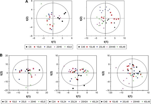 Figure 2 Partial least squares-discriminant analysis plots based on 1H nuclear magnetic resonance data.Notes: (A) Plasma and (B) urine samples obtained from different groups. C, L, and H represent the control and low- and high-dose groups, respectively, 6, 24, and 48 represent 6, 24, and 48 hours posttreatment, respectively, and 10, 20, and 40 represent Fe@Si NPs of 10, 20, and 40 nm, respectively.Abbreviations: Fe@Si, Fe3O4@SiO2-NH2; NPs, nanoparticles.