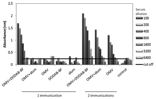 Figure 4. Levels of IgG cross reactive with antigens derived from N. meningitidis The serum of 6 animals per group was collected 45 d after the first immunization, pooled and analyzed by ELISA.
