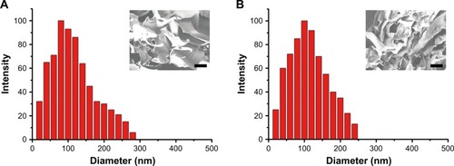 Figure 2 Particle size of (A) TNP and (B) TNP/DOX/ZnPC and SEM morphology of TNPGEL (A inset) and TNP/DOX/ZnPCGEL (B inset) after 37°C treatment.Note: The scale bar was 100 nm for all the SEM images.Abbreviations: TNP, thermal-responsive nanoparticle; TNP/DOX/ZnPC, mixture of equivalent mole of TNP/DOX and TNP/ZnPC; ZnPC, zinc phthalocyanine; SEM, scanning electron microscope.