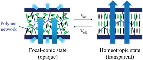 Figure 2. Configuration of the proposed dye-doped ChLC light shutter with a polymer network structure in the focal-conic and homeotropic states.