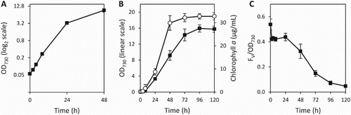 Figure 5. Growth characteristics of Synechococcus 7002 in the small vessels. A, Photoautotrophic growth, measured by the OD730, over the first 48 h displayed on a logarithmic (base 2) scale; B, extended growth out to 120 h displayed on a linear scale, showing the OD730 (▪) and chlorophyll a concentration (○); C, variable chlorophyll a fluorescence (FV) (normalised to OD730) over the 120 h time course. Data presented are the mean of three independent experiments, and the error bars represent the standard deviation.