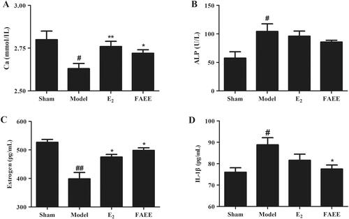 Figure 6. Effect of FAEE treatment on serum biochemical indicators in OVX rats. Calcium (Ca) (A), alkaline phosphatase (ALP) (B), oestrogen (C), and interleukin-1β (IL-1β) (D). Data are the mean ± SEM of triplicate experiments. # p < 0.05, ## p < 0.01 versus sham-operated rats, * p < 0.05, ** p < 0.01 versus OVX rats.