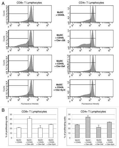 Figure 2. T-cell activation triggered by DC loaded with pBSDL-J28 C-terminal glycopolypeptide and exposed to CD40L (A) Proliferation of CD8+ and CD4+ T-lymphocytes. The histogram shows the proliferation of CD3+ T-lymphocytes (left panel: CD8 T-lymphocytes; right panel: CD4+ T-lymphocytes) cultured with DC’s matured with CD40L and incubated without antigen, (upper panel), with pBSDL-J28 C-terminal glycopolypeptide (Cter-J28) (middle/high panel), with defucosylated pBSDL-J28 C-terminal glycopolypeptide (Cter-Def) (middle/low panel), or with synthetic non-glycosylated pBSDL-C-terminal polypeptide (Cter-Synt) (lower panel). (B) Similar increased percent of proliferating CD4+ and CD8+ T-lymphocytes after culture with mature MoDC loaded with the pBSDL-J28 C-terminal glycopolypeptide, with defucosylated pBSDL-J28 C-terminal glycopolypeptide or with synthetic non-glycosylated pBSDL-C-terminal polypeptide.