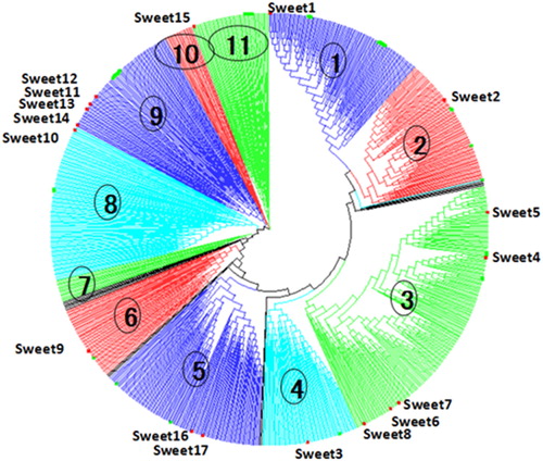Figure 1. Phylogenetic relationship of MtN3/saliva motif proteins in 37 different species.Note: A total of 947 SWEET proteins containing MtN3/saliva domain (PF03083) were identified by PFAM. The phylogenetic tree was constructed using MEGA5.1 software by using ClustalX2.1 alignment and neighbour joining (NJ) method with 1000 bootstrap replications. Eleven main clades were numbered with different colors.