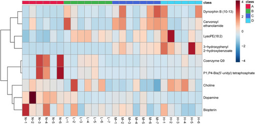 Figure 5 Heatmap of metabonomic data depicting the data structure of nine biomarkers.