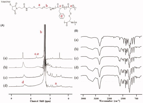 Figure 2. 1H NMR and FT-IR analysis. (A) 1H NMR spectra of (a) t-BOC-NH-PEG-P(Phe-co-Cys), (b) NH2-PEG-P(Phe-co-Cys), (c) MI-PEG-P(Phe-co-Cys), and (d) STP-NPs. (B) FT-IR spectra of (a) t-BOC-NH-PEG-NH2, (b) t-BOC-NH-PEG-P(Phe-co-Cys), (c) NH2-PEG-P(Phe-co-Cys), (d) MI-PEG-P(Phe-co-Cys), and (e) STP-NPs.