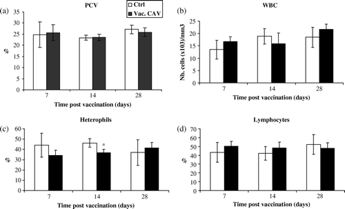 Figure 1.  Haematological examination of blood from CIAV-vaccinated SPF chicks at hatch. (1a) Haematocrit (PCV), (1b) WBC, (1c) percentages of heterophils and (1d) lymphocytes in the blood of CIAV-vaccinated birds (▪) and control birds (□) were determined at 7, 14 and 28 days p.v. The mean of each value for vaccinated and control birds (n = 6) was calculated and compared. *P≤0.05.