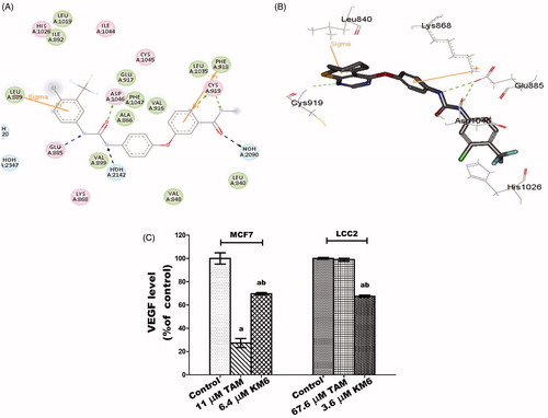 Figure 2. (A) 2D interaction diagram of sorafenib co-crystallized with VEGFR-2 showing two hydrogen bonding with Cys919 (PDB ID: 4ASD) (B) Docking pose of KM6 into VEGFR-2 kinase enzyme. (C) Effect of TAM and KM6 on VEGF level in MCF7 and LCC2. Statistical significance of results was analysed using one-way ANOVA followed by Tukey’s multiple comparison test. aSignificantly different from control, b from TAM and (p < 0.05). TAM was used at IC 50 (11 µM for MCF7 and 67.6 µM for LCC2). KM6 was used at IC 50 (6.4 µM MCF7 and 3.6 µM for LCC2).