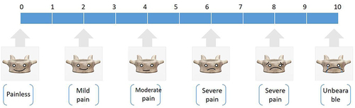 Figure 1 The VAS scoring criteria for low-back pain.