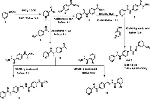 Scheme 1. Synthetic route of target compounds 6, 7, 10, and 11.