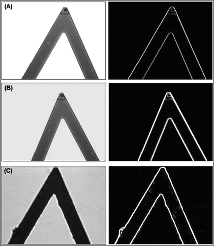 Figure 1 Representative optical micrographs of the AFM cantilever with 200X magnification (with 20X objective and 10X photoocular): (A) untreated; (B) after silanization step; and (C) after glutaraldehyde attachment. Pictures at the left column are the images without using filters, while the ones at the right column were after filtering by using Photoshop, glowing edges.