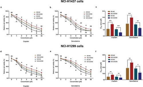 Figure 8. Effect of CXCR2 on chemosensitivity. The effect of CXCR2 overexpression and knockdown on NCI-H1437 cells treated with cisplatin of different concentrations (A) and NCI-H1437 cells treated with gemcitabine of different concentration (B). The effect of CXCR2 overexpression and knockdown on IC50 value of cisplatin or gemcitabine in NCI-H1437 cells (C). The effect of CXCR2 overexpression and knockdown on NCI-H1299 cells treated with cisplatin of different concentrations (D) and NCI-H1299 cells treated with gemcitabine of different concentration (E). The effect of CXCR2 overexpression and knockout on IC50 value of cisplatin or gemcitabine in NCI-H1299 cells (F) Comparison of relative cell viability and IC50 value between the two groups was conducted by independent sample’s t-test. P < 0.05 was considered significant. CXCR2, C-X-C Chemokine Receptor Type 2.