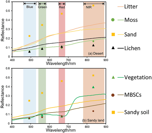 Figure 5. Spectral curves based on a spectrometer for different surface components from 400 nm to 900 nm in the (a) desert and (b) sandy land. Marked points indicate the Sentinel-2 band reflectance for different surface component types.