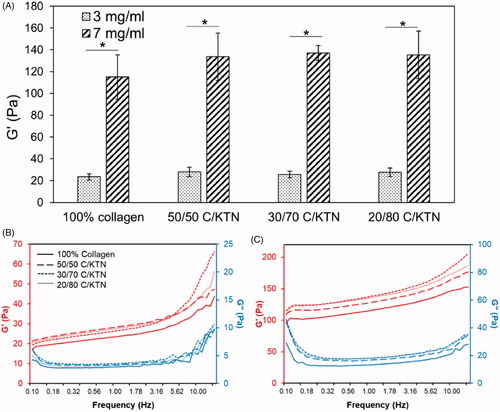 Figure 2. Stiffness of 100% collagen and C/KTN hydrogels. Storage modulus measured by an oscillation sweep from 0.1 to 15 Hz at 1% strain and analyzed at 1 Hz (three independent experiments, n = 4–5 for each experiment). The storage modulus increased significantly with greater collagen concentration from 3 to 7 mg/ml. Although higher KTN concentration increased the storage modulus, the values were not significantly different from the storage modulus of 100% collagen hydrogels. One-way ANOVA performed, results are weighted average ± SD, *p<.05. Average storage and loss modulus of 3 (B) and 7 mg/ml (C) hydrogels were plotted versus frequency at 1% strain (n = 9). Results show that increase in KTN concentration led to an upward shift in the plot, representing higher storage modulus.