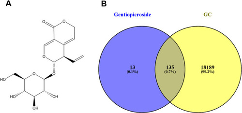 Figure 2 The venn diagram of the targets both in gastric cancer targets and Gentiopicroside targets.