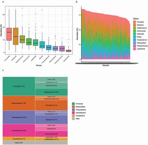 Figure 2. Overall microbial composition related to tongue coating. (A) Box plot of the ten most abundant microbes at the genus level. (B) Stacked bars of the ten most abundant genera in each sample. (C) The five most abundant phyla and their most abundant genera