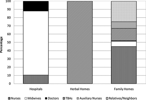 Figure 1 Types of birth attendant at place of delivery in Lagos, Nigeria.