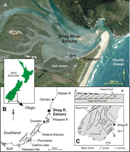 Figure 1  Location of Shag River estuary study area, North Otago, South Island, New Zealand. A, Location of SR1 core and associated transect of modern foraminiferal samples. B, Coastal Otago and eastern Southland showing location of active Akatore and Settlement faults. C, Tectonic setting of coastal Otago and east Southland on the eastern margin of the 250-km-wide Otago fault-fold belt.