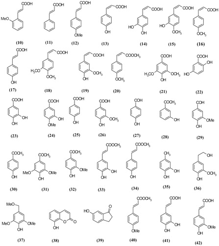 Figure 3. Phenolic acids compounds reported from Scrophularia plants.