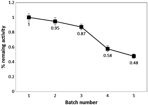Fig. 5. Reusability of the magnetic microparticle lipase in consecutive batch process.Notes: The reaction contained 5% w/v gelatinized starch, 2.5% w/v oleic acid, and 1% v/v Triron X-100 with 1% w/v Fe3O4-AP-EN lipase. The mixture was incubated at 50 °C, pH 7 for 24 h with stirring speed at 200 rpm. The biocatalyst was separated by magnetization and washed with ethanol before reused in the subsequent batch. The remaining activity is calculated based on the obtained DS divided by the DS obtained in batch 1.