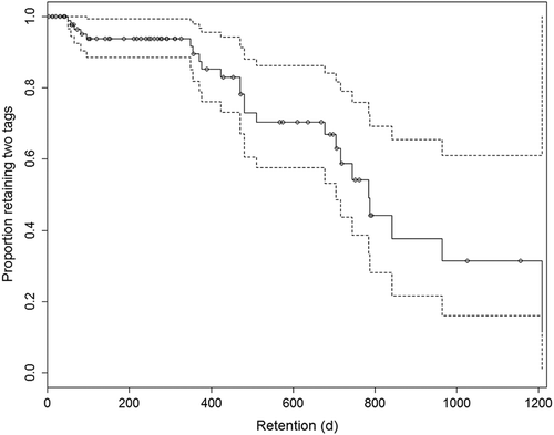 FIGURE 3. Proportion (dotted lines show the 95% CI) of Blue Catfish retaining two tags from 2012 to 2015 in the Potomac River, Maryland.