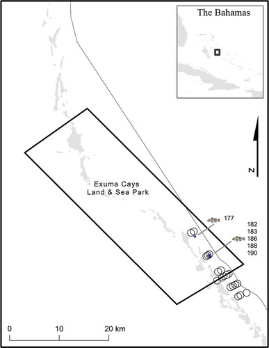 FIGURE 2. Map of receiver locations (open circles) that were used to detect Nassau Grouper spawning migrations in 2004–2005. Receivers extended from the shore to the shelf edge at 1, 5, and 10 km inside and along the southern boundary of the Exuma Cays Land and Sea Park as well as 2.5 and 5.0 km outside of the park in 2004–2005. Circle sizes approximate the average receiver detection range. Release sites are shown for individuals that were tagged in 2004 (blue circles). The bathymetry line indicates the 200-m depth contour.