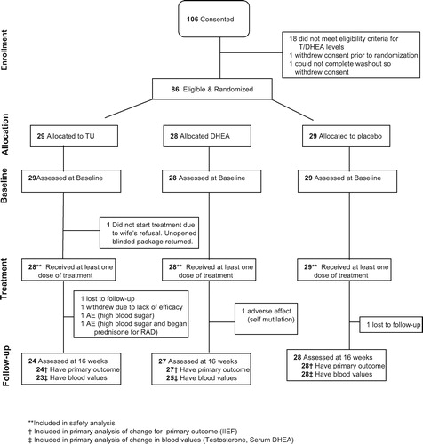 Figure 1.  Flow chart of participants and their eventual disposition.