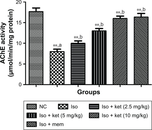 Figure 6 The effect of ketamine on AChE activity on normal and treated group rats.