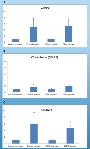 Figure 1 Real-time PCR reactions performed to characterize and compare HUCB ECFCs.