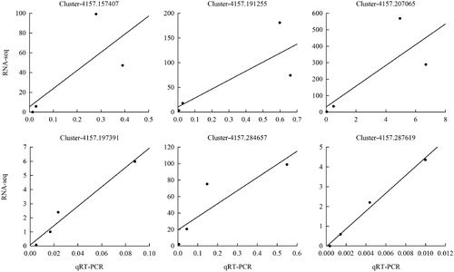 Figure 5. Correlation analysis between qRT-PCR and RNA-seq of six genes. The left Y-axis indicates the average value of gene expression of RNA-seq at different stages, and the X-axis is average value of gene expression of qRT-PCR at different stages. Three technical replications were performed.