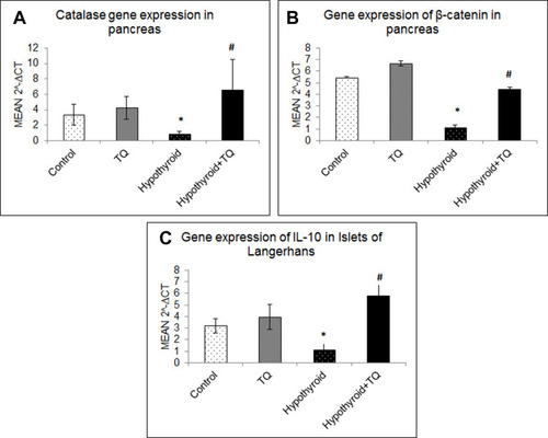Figure 3 Effect of Thymoquinone on gene expression of catalase (A), β-catenin (B) and IL-10 (C) in pancreatic islets of Langerhans. *Significantly different compared to the control group (p<0.05). #Significantly different compared to the hypothyroid group (p<0.05).