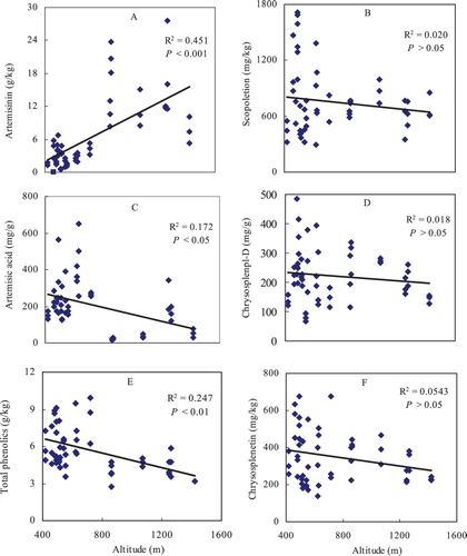 Figure 3. Contents of mainly medical metabolites, artemisinin (A), artimisic acid (C), total phenolics (E), scopoletin (B), chrysosplenol-D (D) and chrysosplenetin (F) in A. annua leaves changed along an altitudinal gradient.