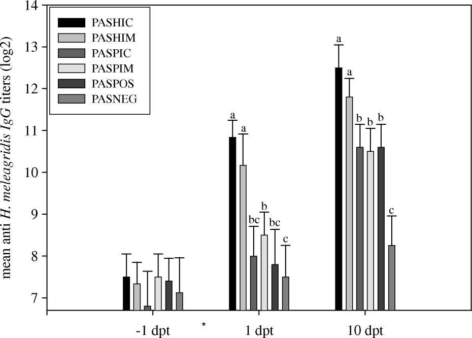 Figure 2.  Experiment 3: serum antibody responses of groups of turkeys after passive immunization and challenge with H. meleagridis. *Transfer of immune serum and challenge (4 h later) with H. meleagridis at 0 days post transfer (dpt). PASHIC, passively immunized with HIC antibodies; PASHIM, passively immunized with HIM antibodies; PASPIC, received antibodies from PIC; PASPIM, received antibodies from PIM; POS, non-immunized challenged group; NEG, non-immunized non-challenged group. Titres measured by indirect immunofluorescence. Different lowercase letters indicate significant differences between treatments at each time point.