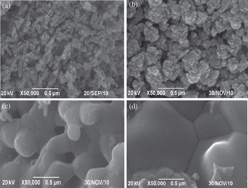 Figure 8. SEM images under different conditions: (a) the initial nano-HAP, (b–d) the sintered nano-HAPs when the laser scanning speeds are 600, 200 and 120 mm/min, respectively.