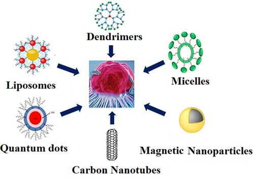 Figure 1 Various types of nanocarriers used to treat the malignant tumors.